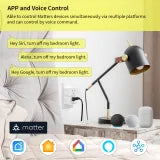 Load image into Gallery viewer, Minoston MP25M Matter Smart Plug Compatible with Google Home and Alexa (2-Pack)